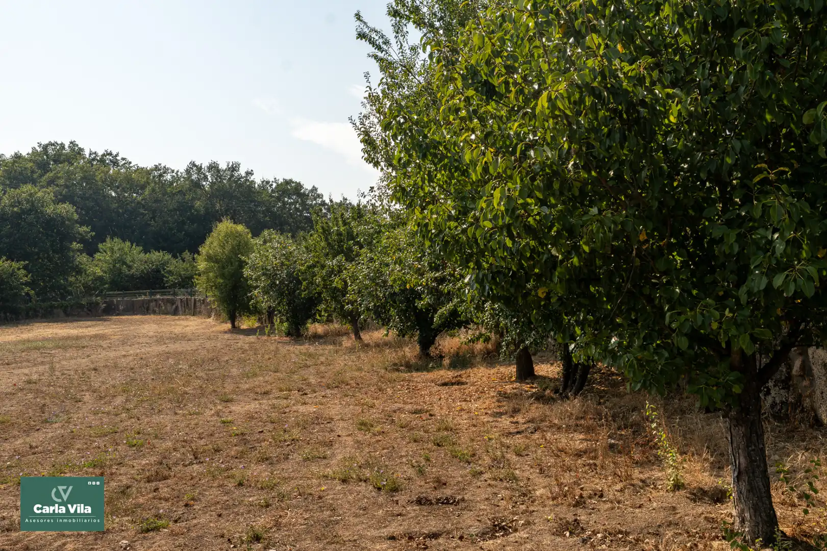 Finca rústica en venta en O Corgo   con Calefacción, Jardín privado y Parquet