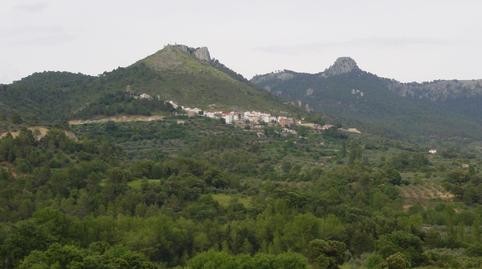 Photo 2 of Land for sale in Villaverde de Guadalimar, Albacete