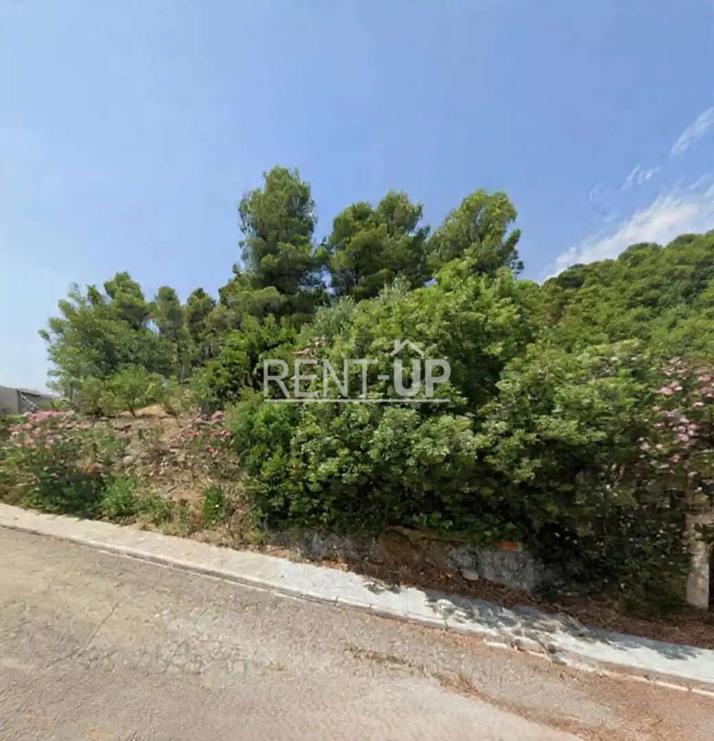 Terrain résidentiel à vendre à Sumacàrcer, imagen 2