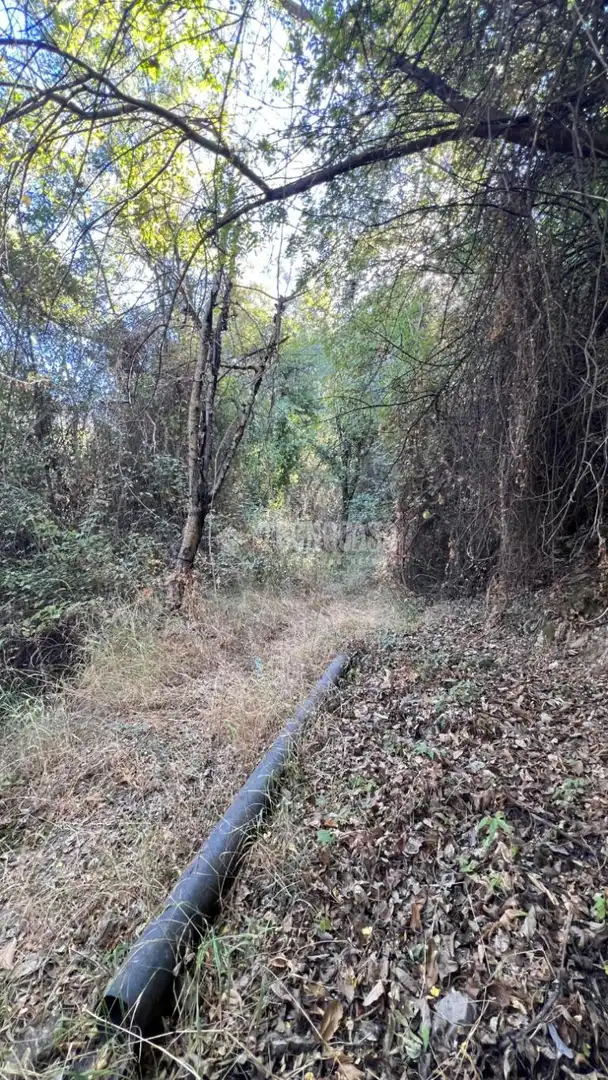 Rural land for sale in Güéjar Sierra, imagen 4