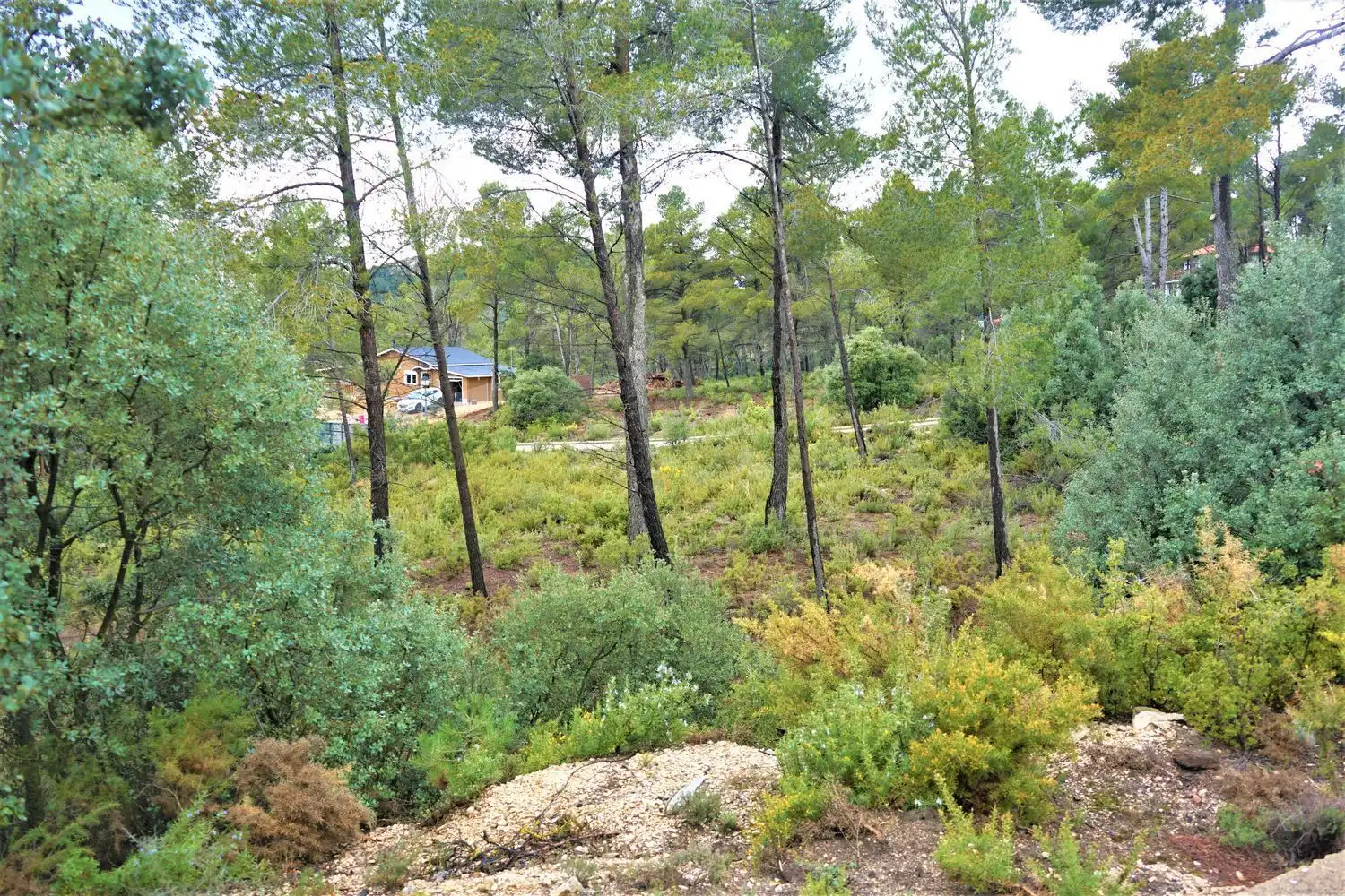 Terreno rústico en venta en Calleja Hontanar 78, imagen 20