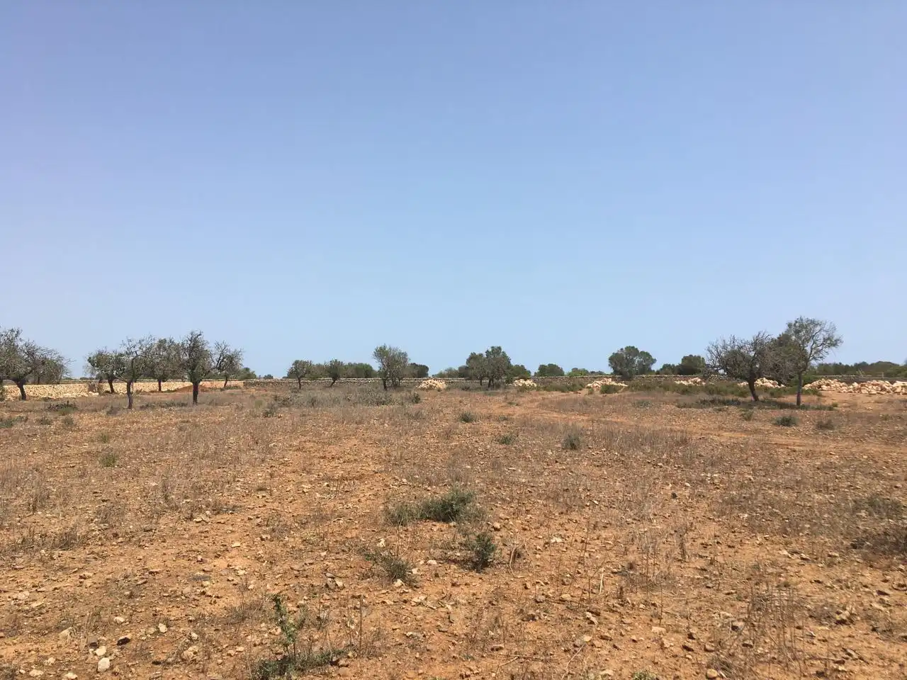 Casa amb piscina en venda a Camí des Pinaret Gran, imagen 12