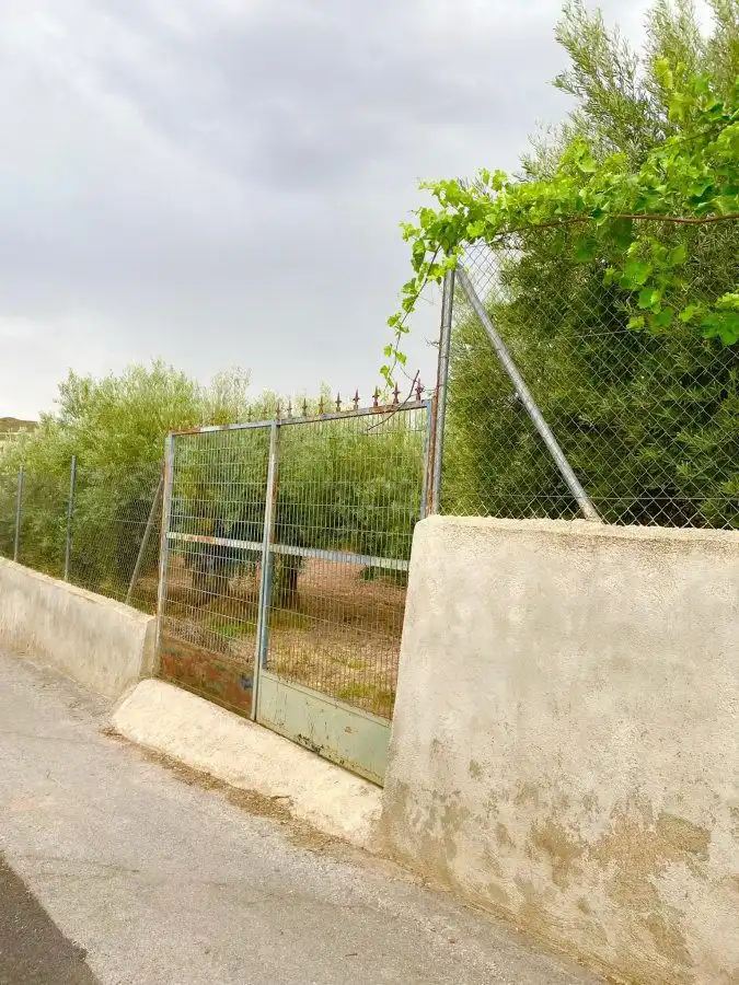Country homes for sale in Vélez-Rubio