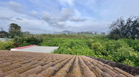 Foto 4 de Finca rústica en venta en Cártama, Málaga