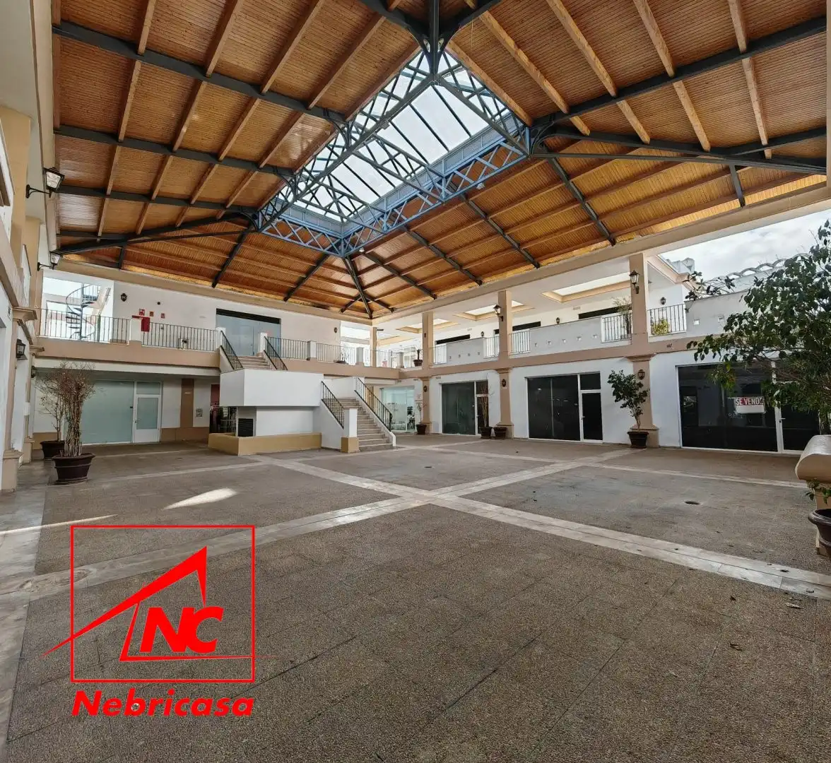 Local de lloguer en Rota amb Aire condicionat