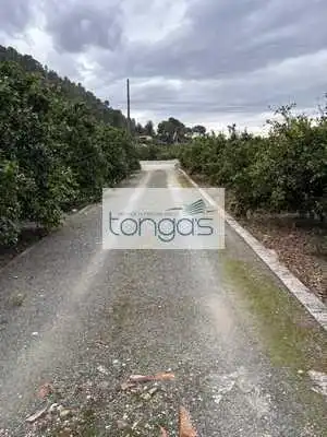 Rustikales Grundstück zum Verkauf in Xàtiva, imagen 23