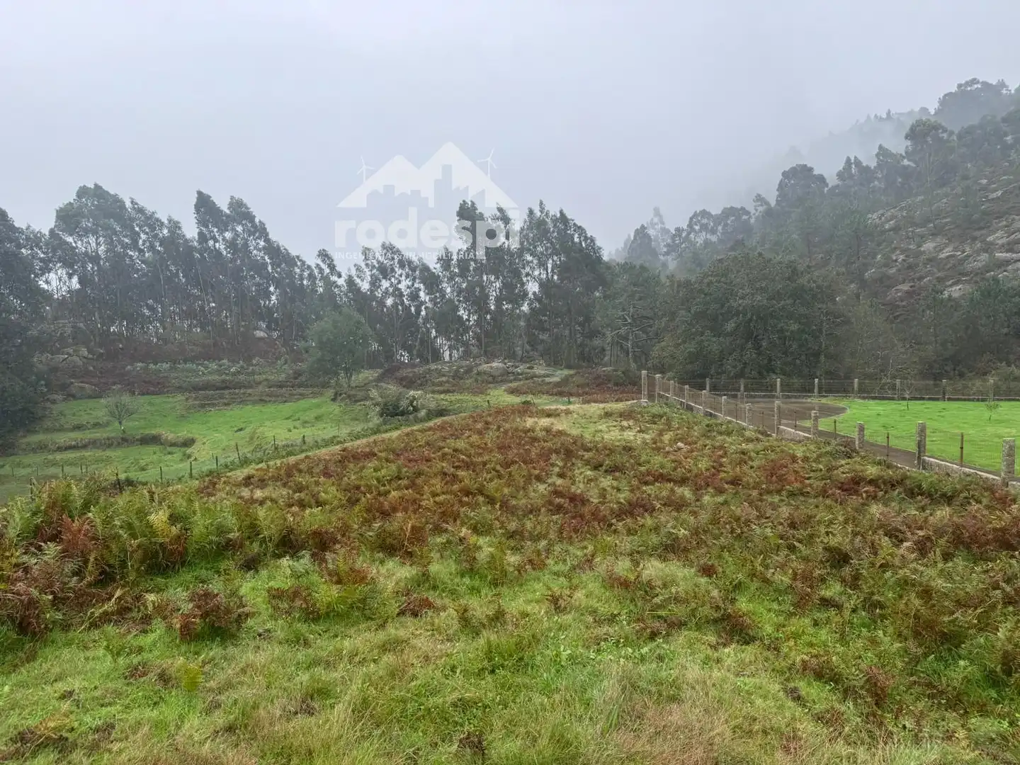 Detached homes for sale in O Porriño  
