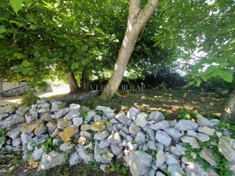 Maison à vendre à Celoriu, imagen 13