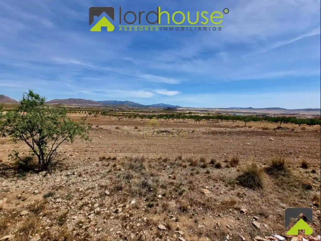 Casa en venda a Carretera Rincon, Del (Zarcilla Ramos), imagen 24
