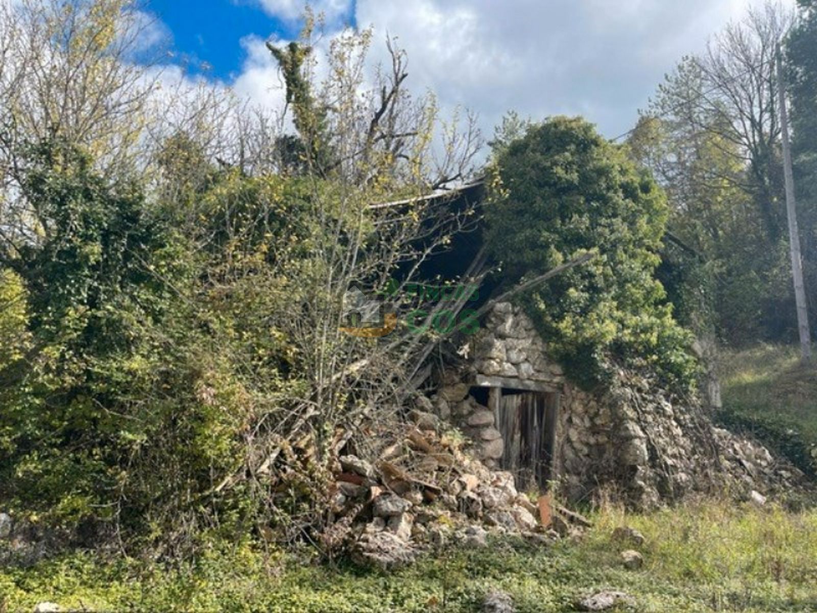 Vista exterior de Casa o xalet en venda en Vallcebre amb Jardí privat