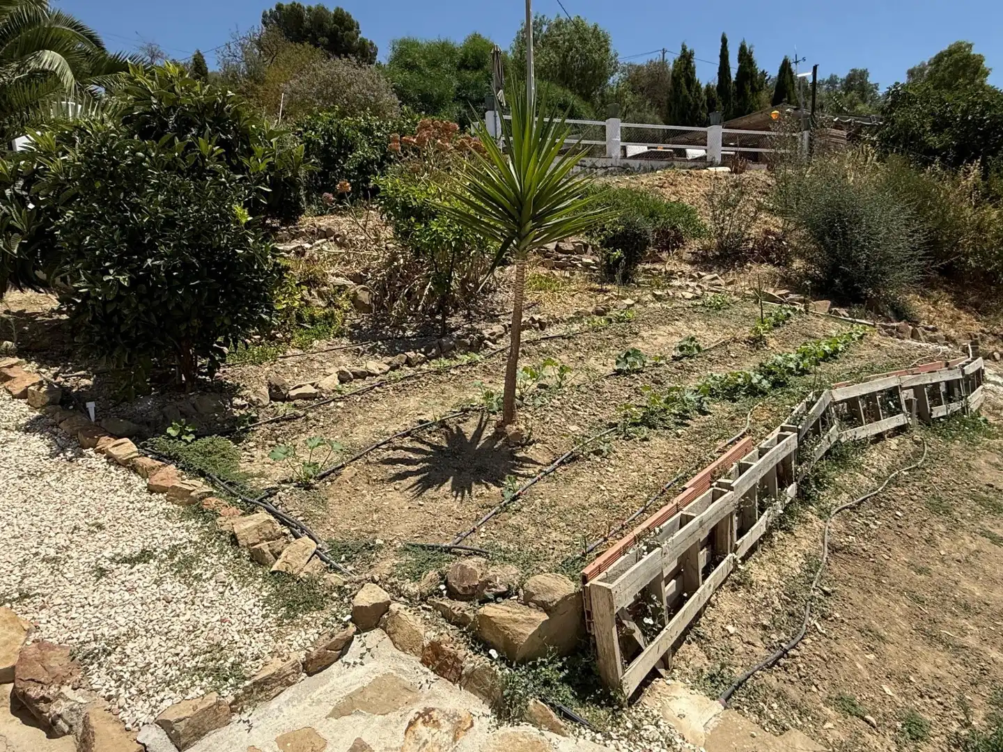 Finca rústica en venda a Villanueva de la Concepción