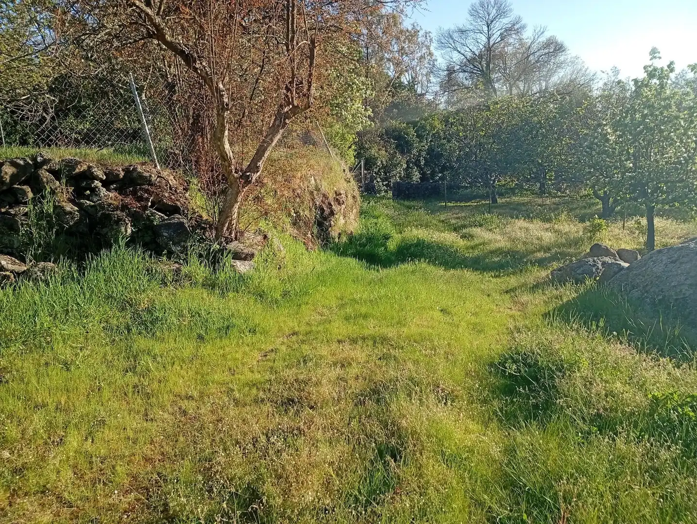 Terreno en venta en Valverde de la Vera