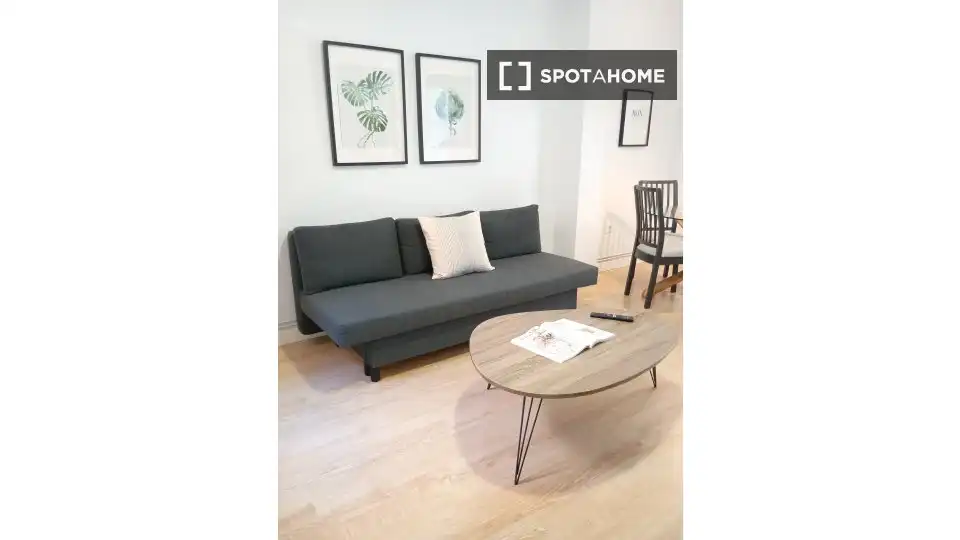 Living room of Flat for rent in Madrid  with Air Conditioner, Heating and Furnished