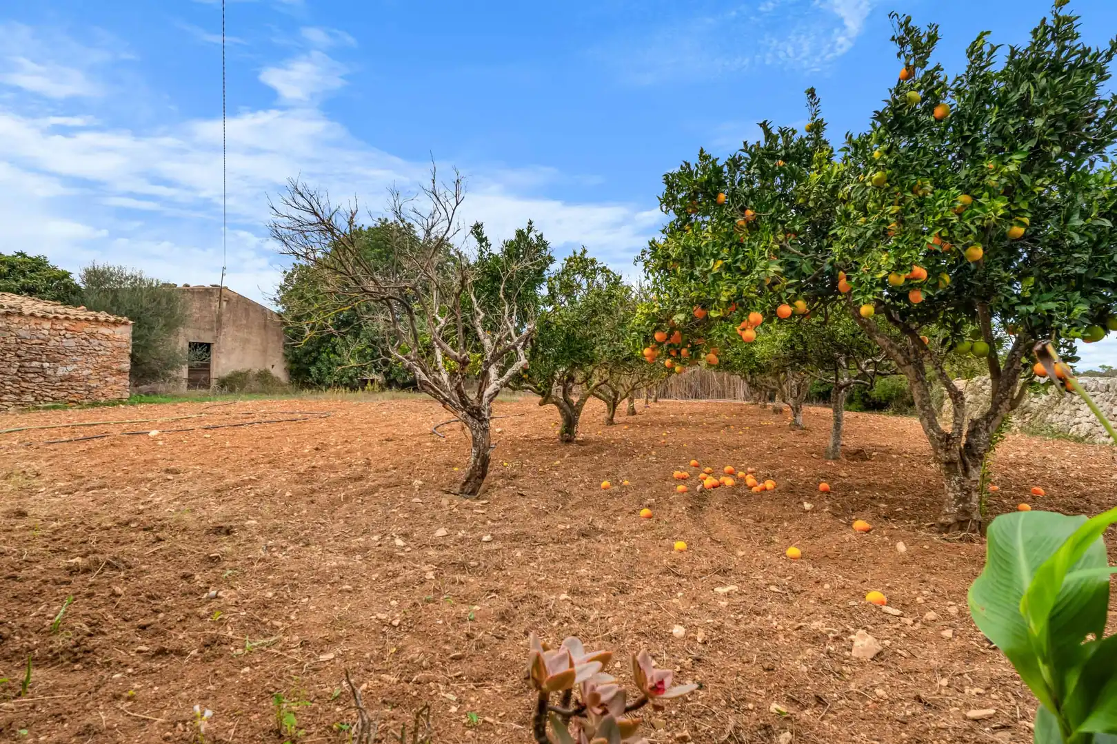 Country house with terrace for sale in Felanitx Poble, imagen 19