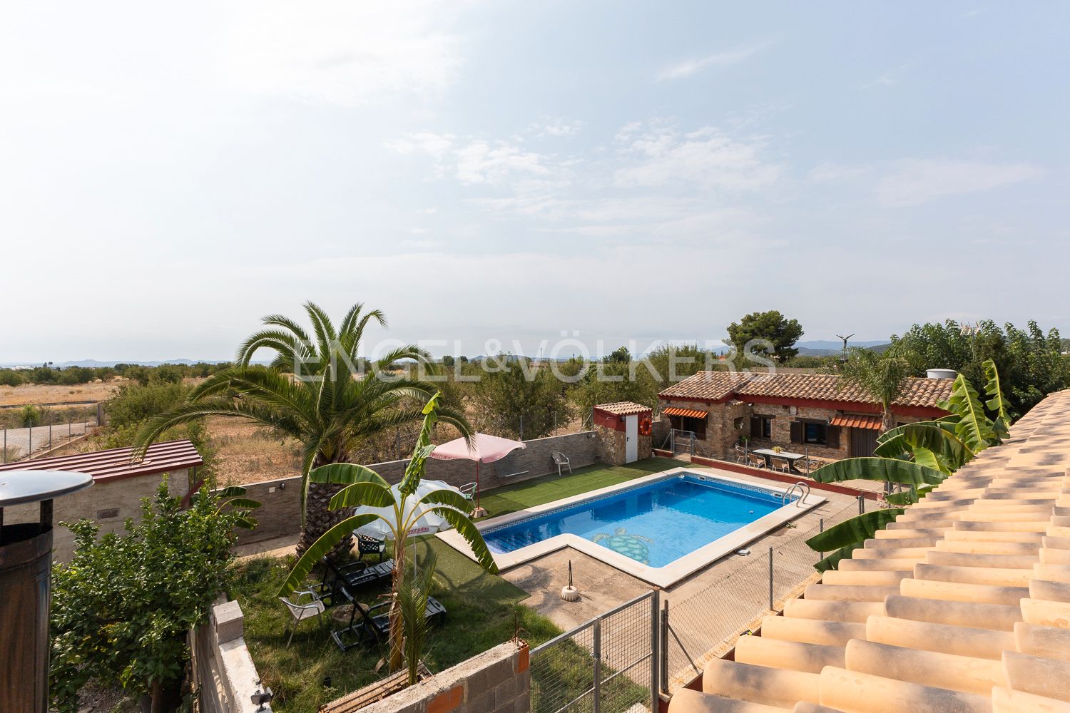 Vista exterior de Casa o chalet en venta en Casinos con Calefacción, Jardín privado y Terraza