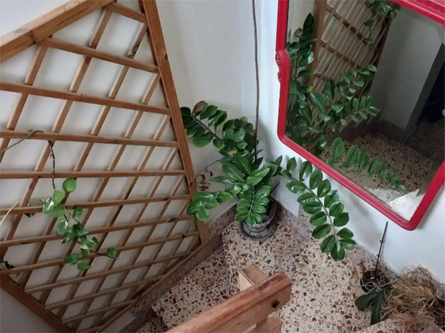 Terraza de Casa o chalet en venta en Eslida