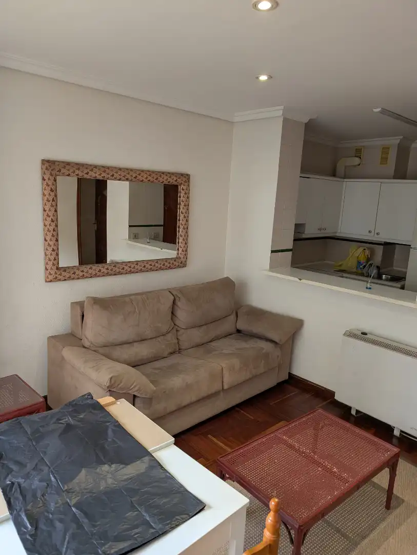 Sala d'estar de Apartament en venda en Pontevedra Capital  amb Calefacció, Parquet i Moblat