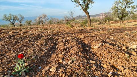 Photo 5 of Land for sale in Pulgara, Lorca