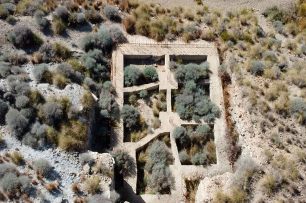 Garden of Building for sale in Níjar