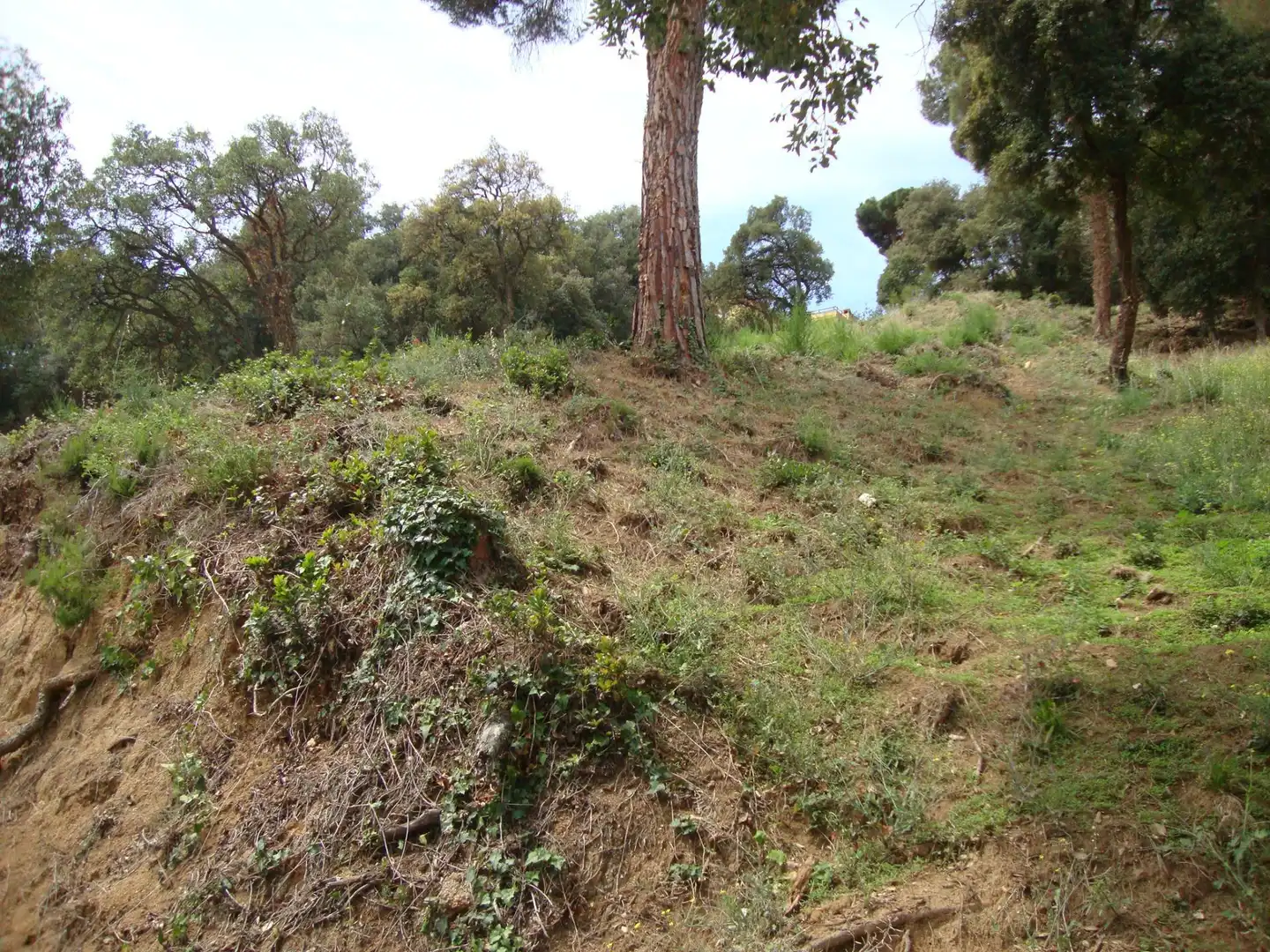Wohnbaugrundstück zum Verkauf in Sant Cebrià de Vallalta, imagen 2