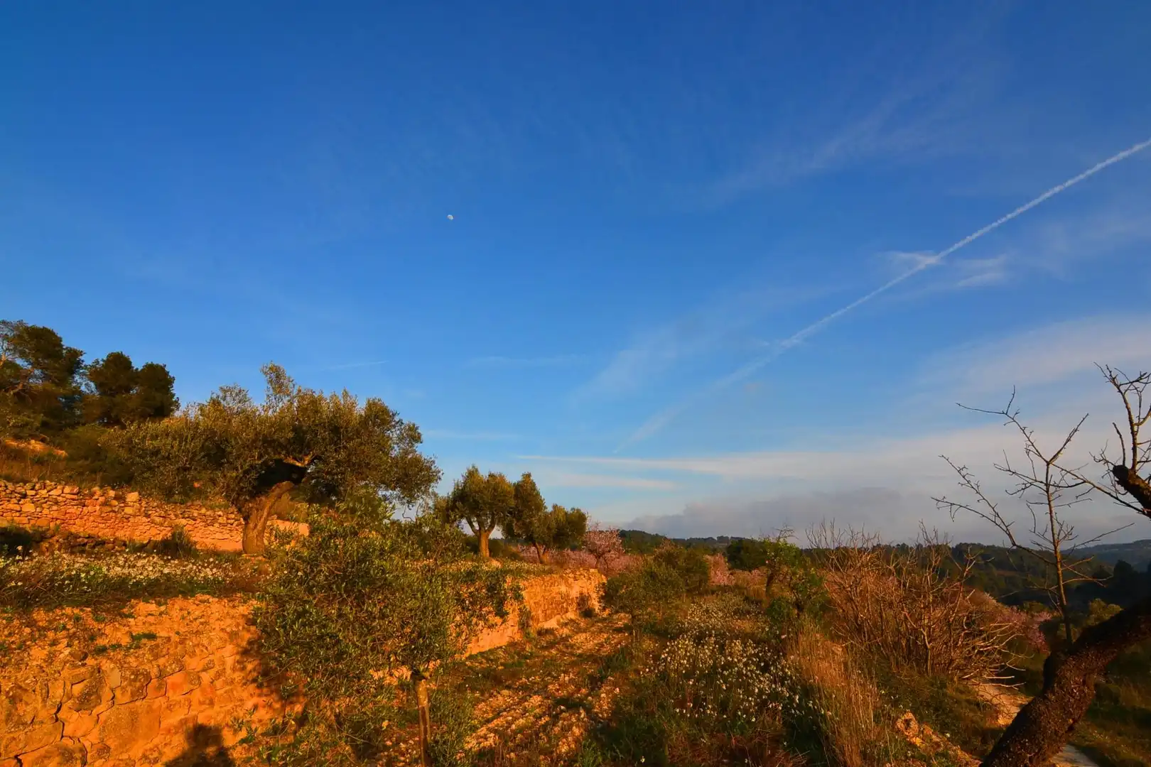 Rural land for sale in Corbera d'Ebre, imagen 81