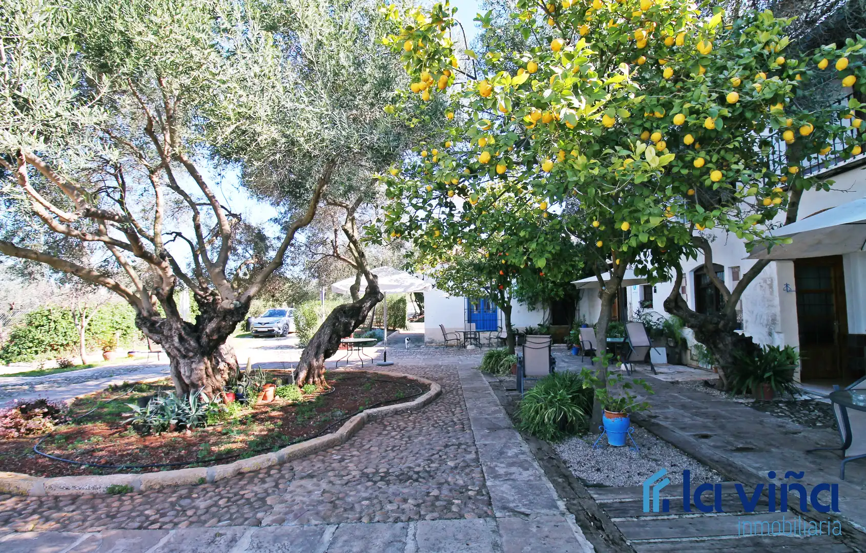 Jardín de Finca rústica en venta en Martín de la Jara con Aire acondicionado, Jardín privado y Trastero