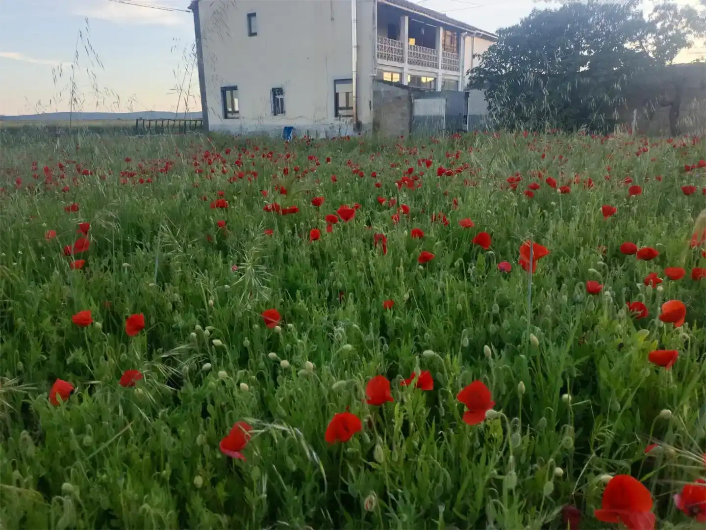 Casa o chalet en venta en Villamontán de la Valduerna con Jardín privado, Trastero y Amueblado