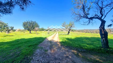 Photo 4 of Land for sale in Sa Casa Blanca, Illes Balears