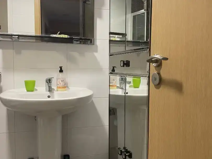Bathroom of Flat for rent in Valdevimbre  with Parquet flooring and Furnished