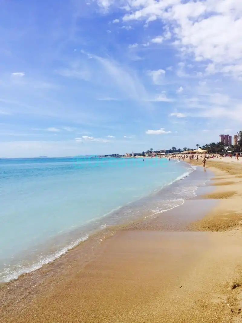 Chalet con piscina en venta en Orihuela Costa, imagen 10
