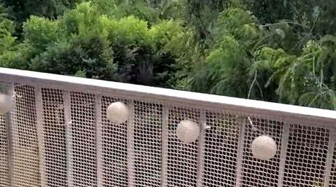 Photo 3 of Flat for rent in Plaça del Pedagog Pestalozzi, Mont-Olivet,  Valencia Capital