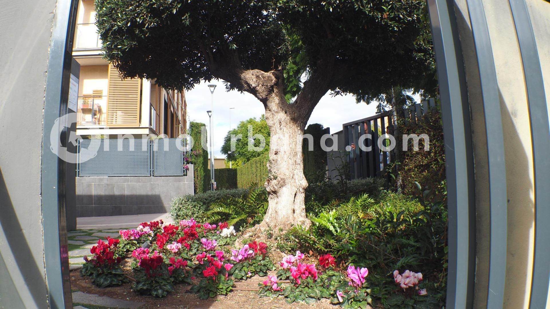 Apartment to rent in Calle del Alcalde Josep Poveda Verdú, Playa Muchavista