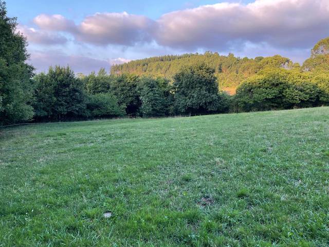 Terreno residencial en Venta en VERANES en Cenero