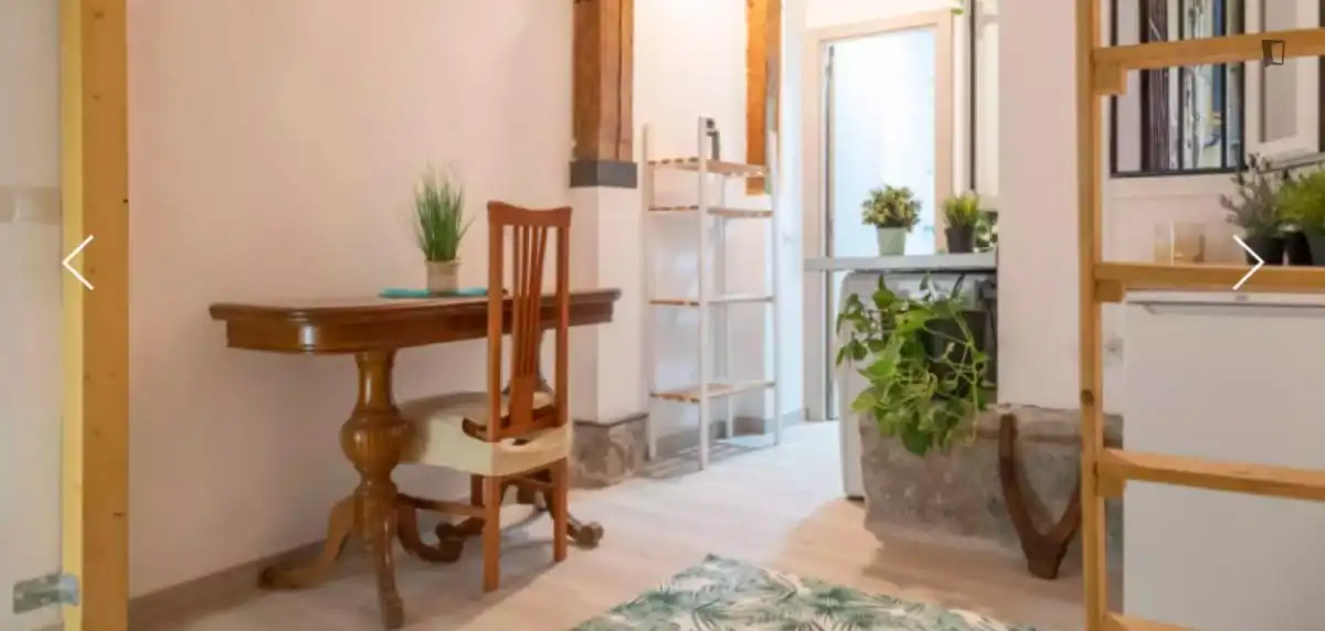Estudio en alquiler en Centro, imagen 4