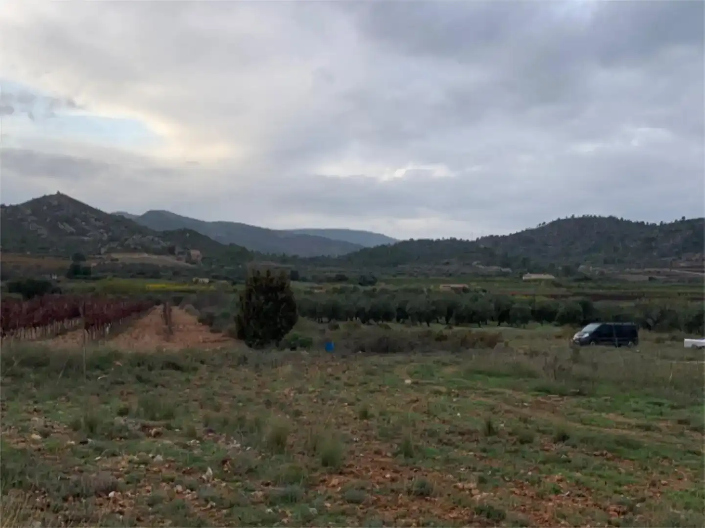 Finca rústica en venta en Calles