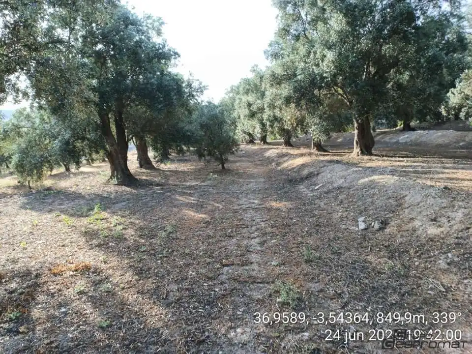 Terreno rustico in vendita a Calle poligono 2, parcela 207,208, Tomillar, Lecrín 0, imagen 18