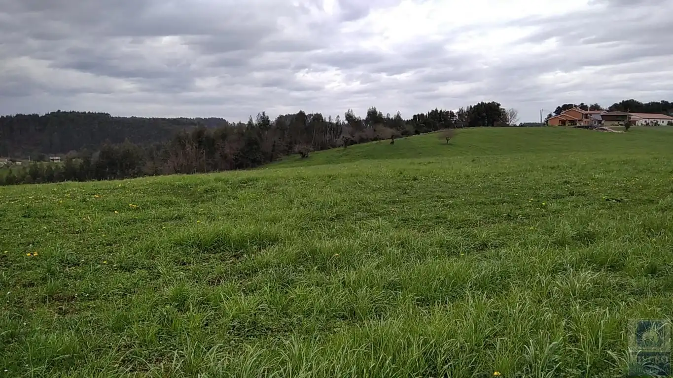 Grundstücke zum Verkauf in Carreño