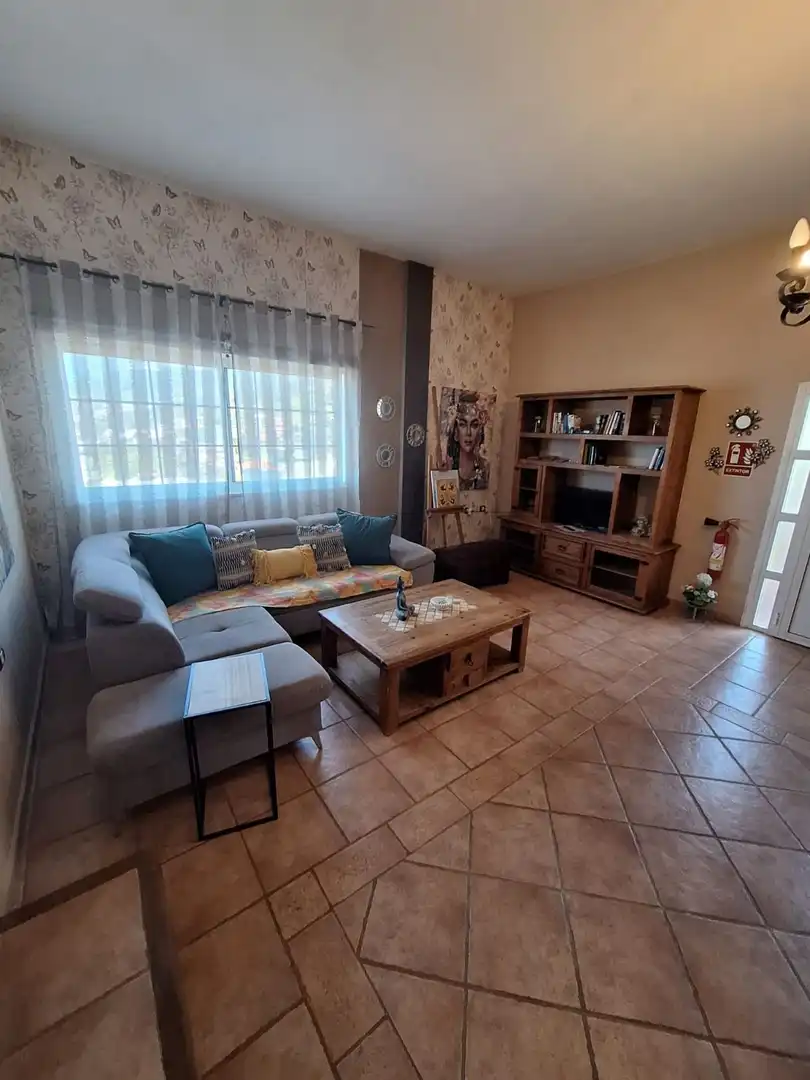 Sala d'estar de Finca rústica de lloguer en Santa Úrsula amb Terrassa