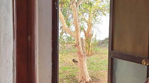 Photo 5 of Planta baja for sale in Son Cotoner, Palma de Mallorca