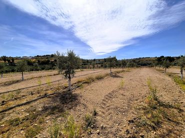 Terreno residencial en venta en Moraleda de Zafayona