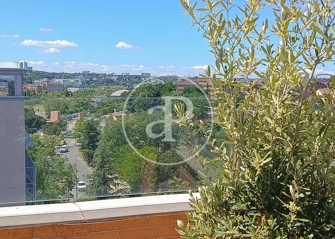 Penthouse with pool for sale in Vega de la Moraleja, imagen 15