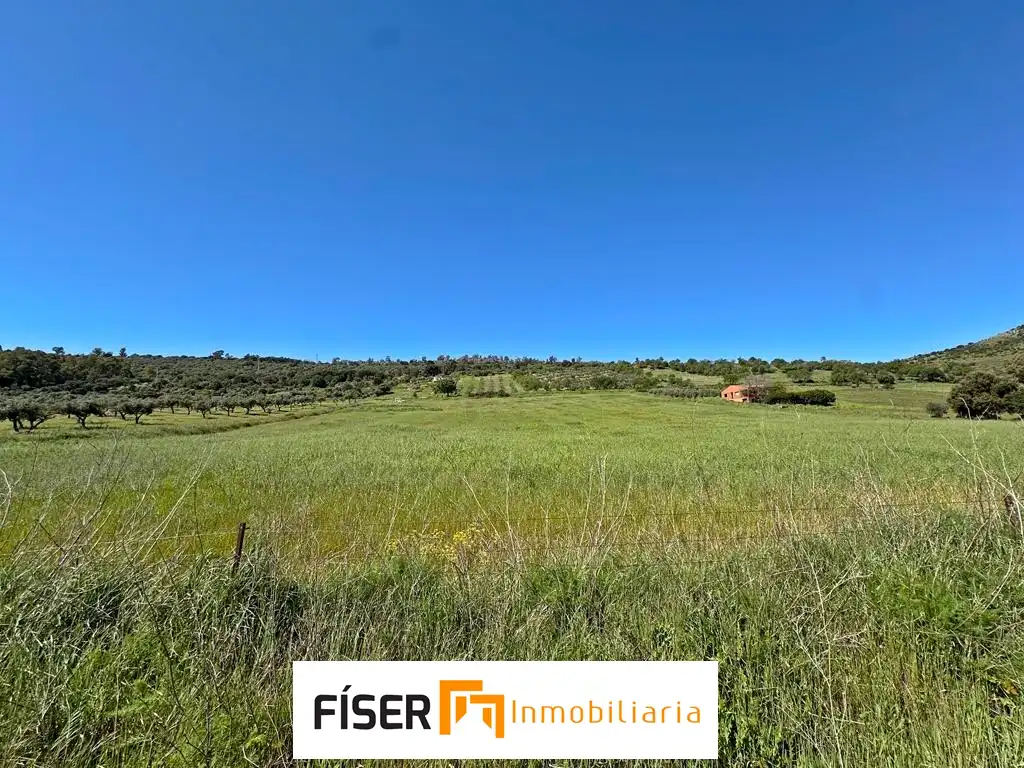 Terreno rustico in vendita a Diseminado Peralas