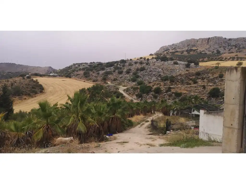 Terreni e lotti in vendita a Cañete la Real, imagen 23