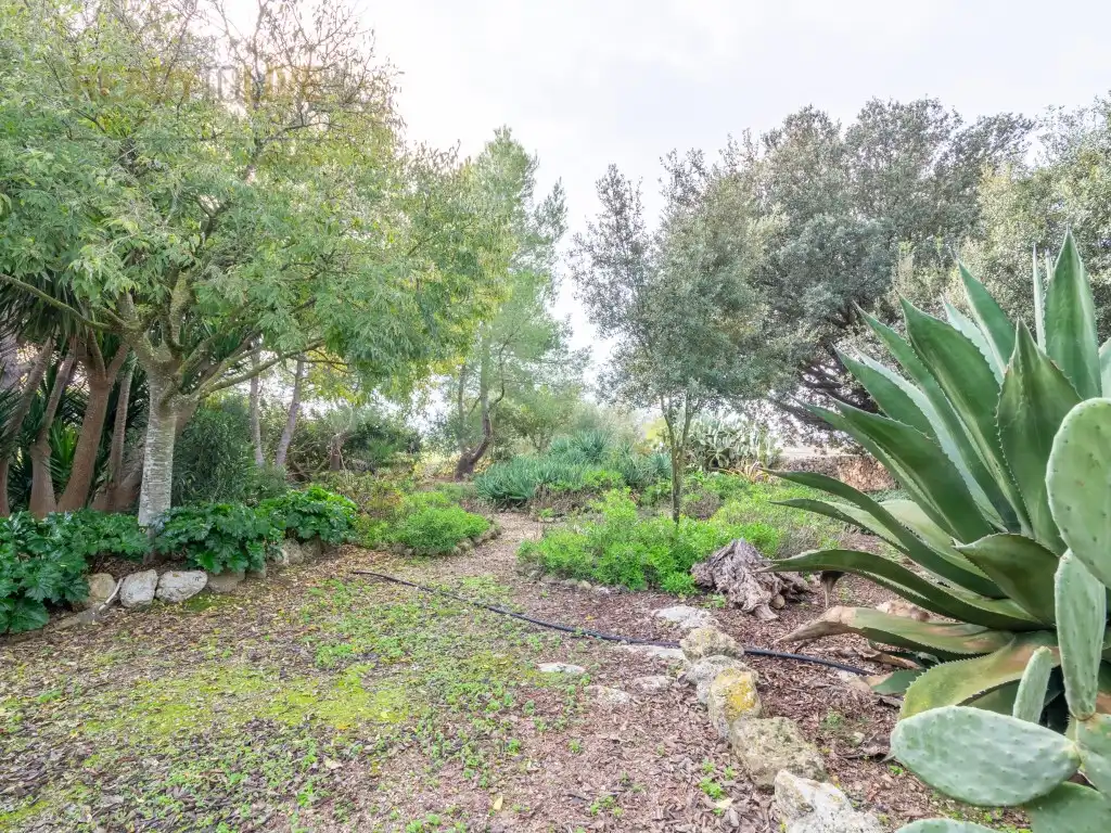 Jardín de Casa o chalet en venta en Ariany con Aire acondicionado, Calefacción y Jardín privado