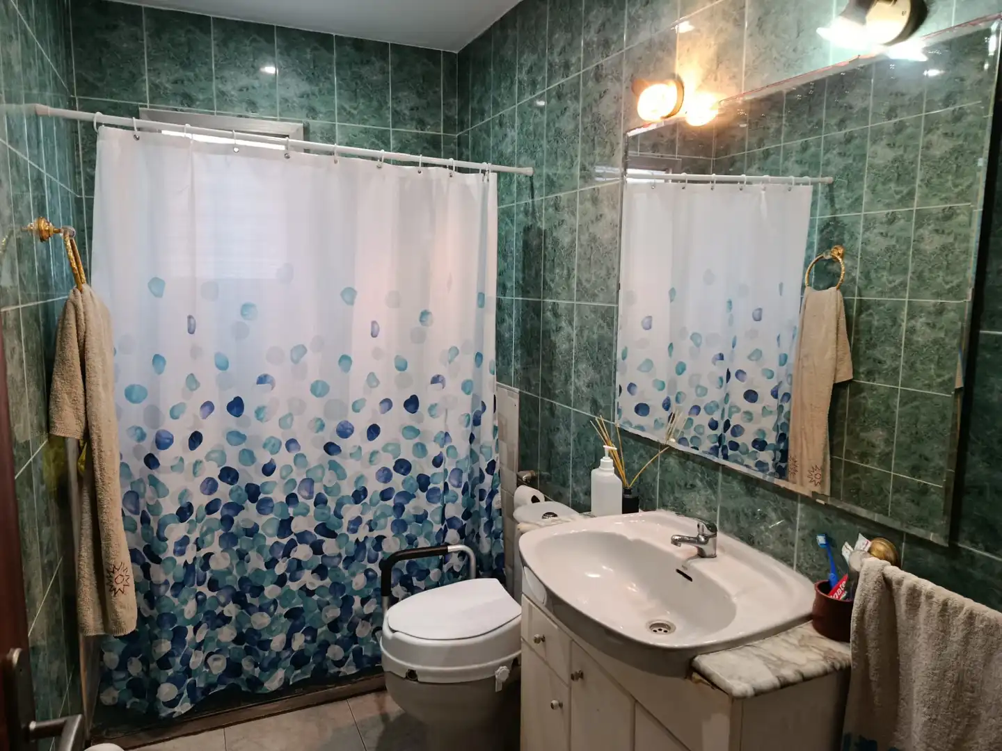 Baño de Casa o chalet en venta en Torrent con Aire acondicionado, Calefacción y Jardín privado