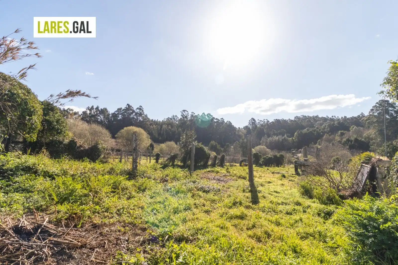 Terrain rustique à vendre à Ameixoada, imagen 13