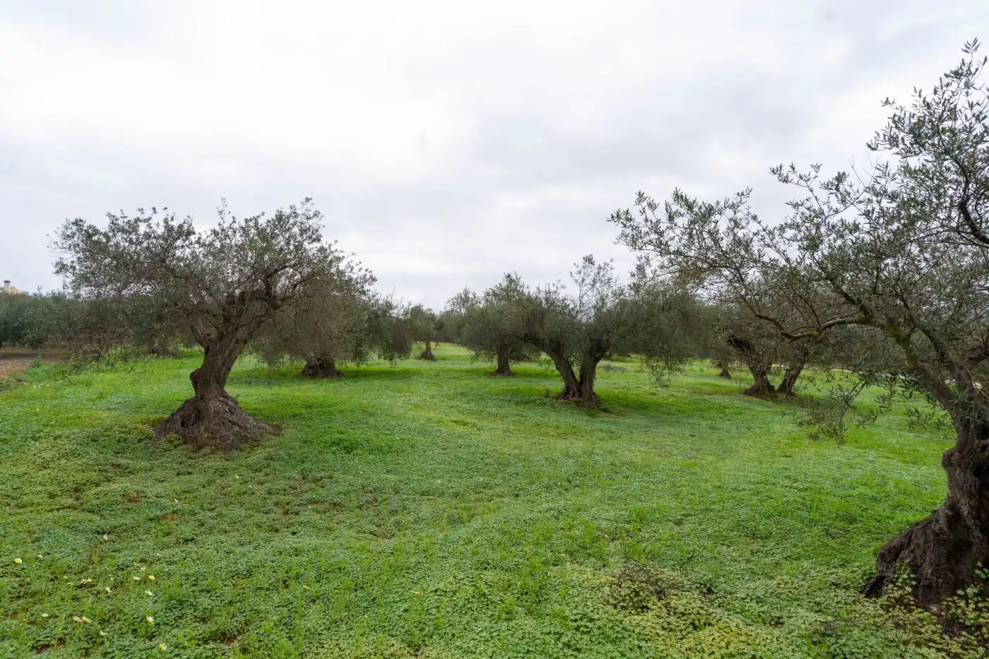 Terreni e lotti in vendita a Villafranco del Guadalhorce