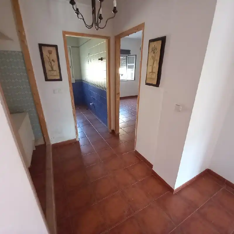 Chalet en venta en C/ Palomar, imagen 8