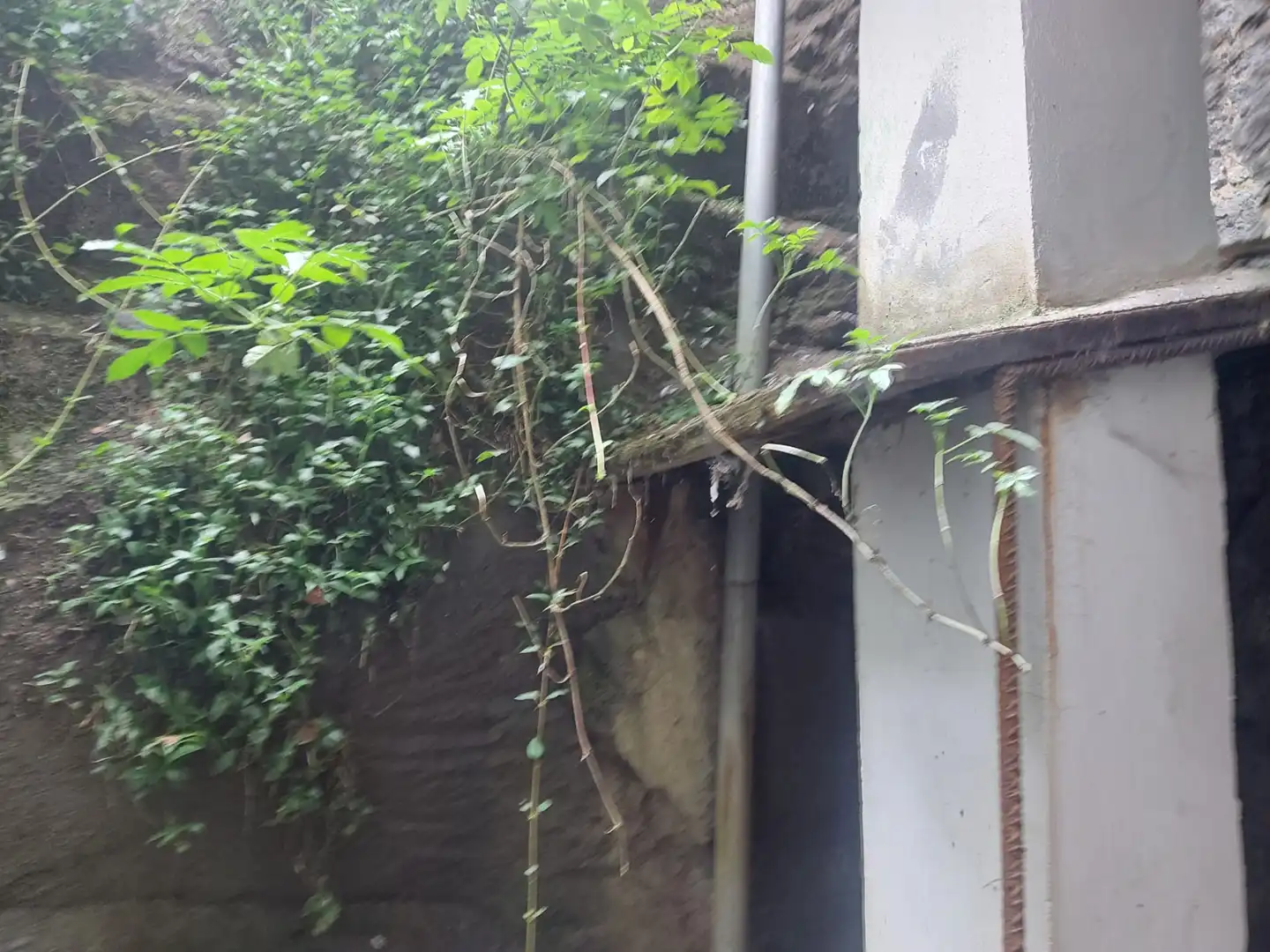Gewerbefläche zum Verkauf in Calle Cardenal Cisneros 48, imagen 9