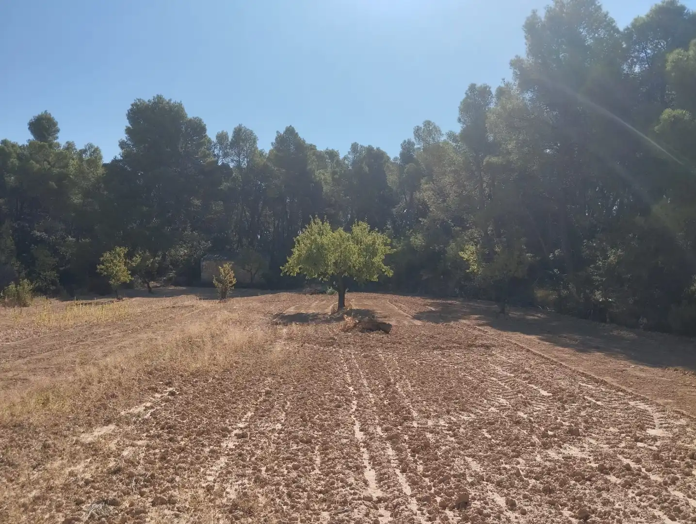 Terreni e lotti in vendita a Valderrobres, imagen 4